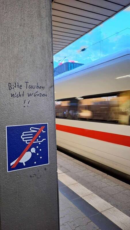 455609844_933897302116561_8211338991885704016_n