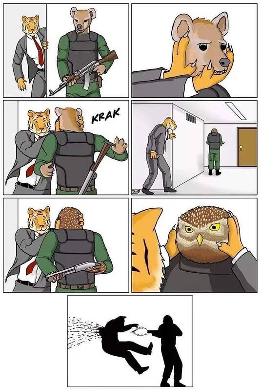 456176457_804991938470034_3348571042352156185_n