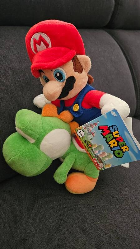 17349595271341029240492668865423