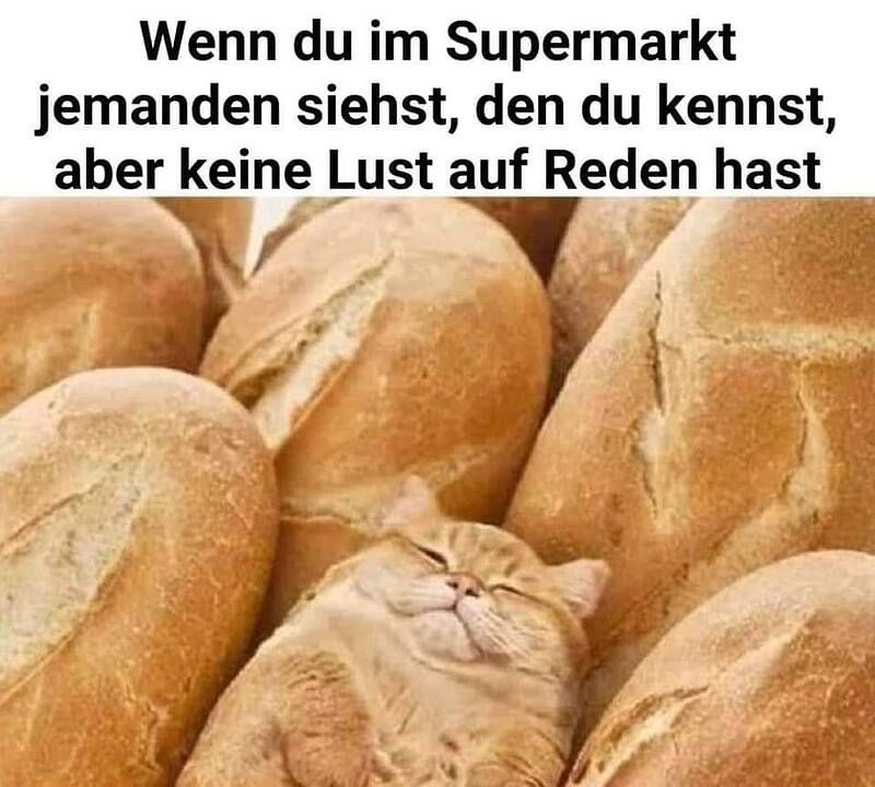 signal-2021-12-02-19-09-15-390