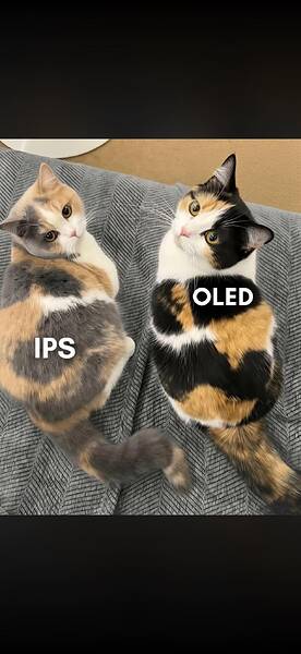 613422049_25904620372501518_8749055106297437443_n