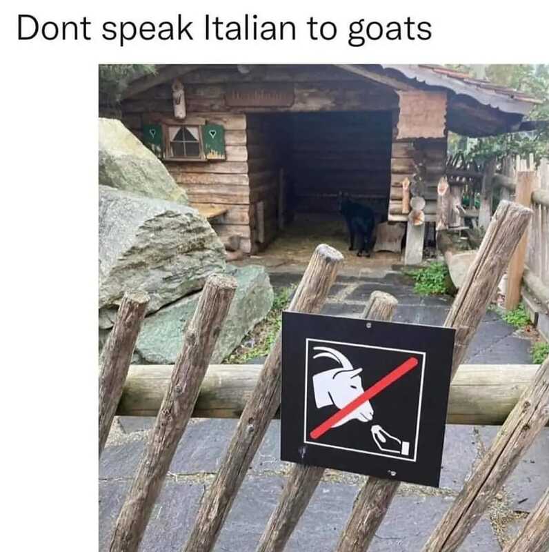 WhatsApp Bild 2024-07-19 um 06.43.27_d4c772c2