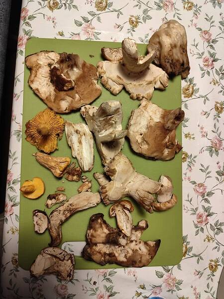 IMG_20251026_182450 copy