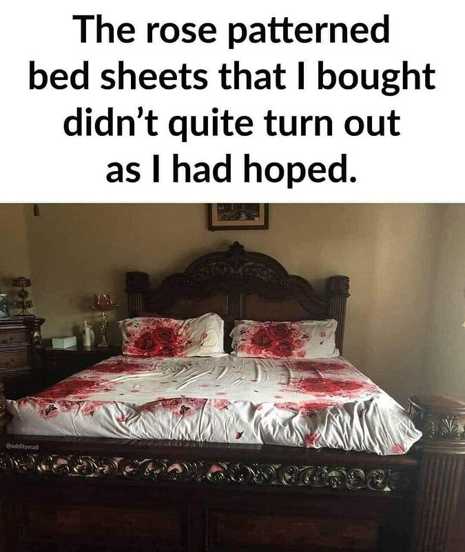 293293608_10159071861828067_3477675542584283094_n