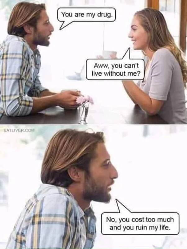 Its-a-luxury---like-a-pet-1724481380927