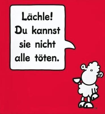 lächle