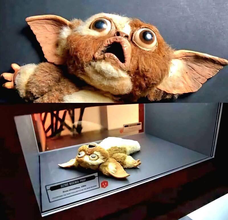 495334341_1244241487710109_1522842989920371529_n