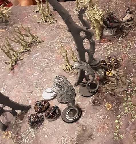 196155296_1001100310677603_8677367739021580821_n