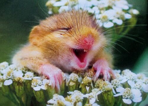 Screenshot 2022-08-12 at 22.33.13