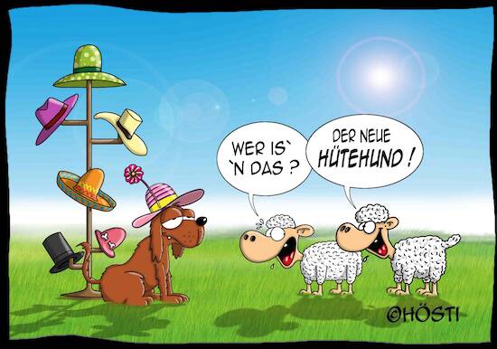 Hütehund
