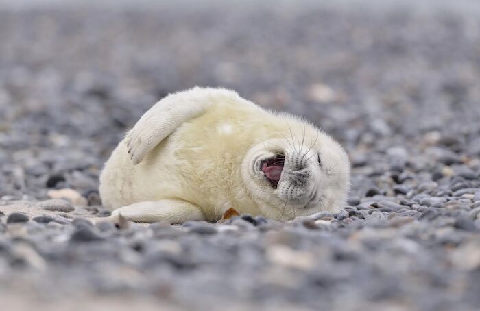 Screenshot 2022-08-10 at 16.24.22 copy