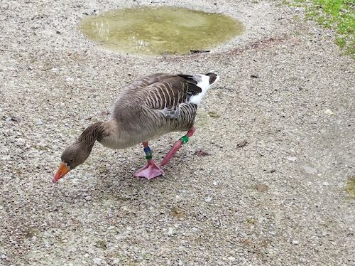 IMG_20220625_103416 copy