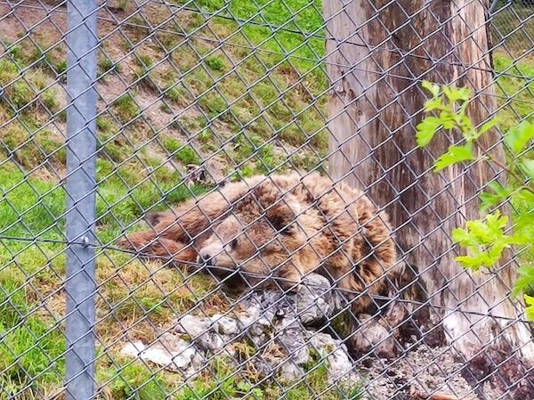 IMG_20220625_100846 copy