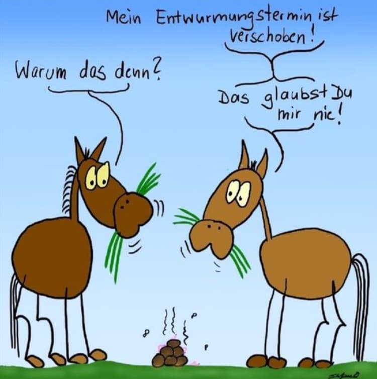 Bild_2021-11-17_224928