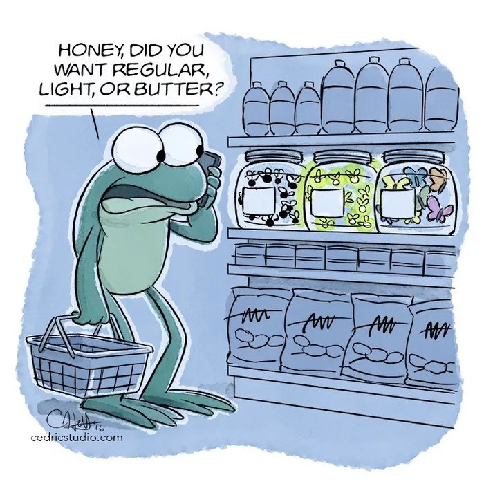 Even-frogs-go-grocery-shopping-on-a-Wednesday-1725468671804