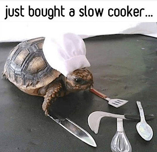 slow cooker
